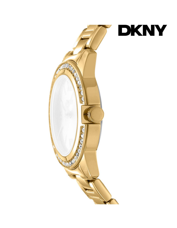DKNY Ladies Watch